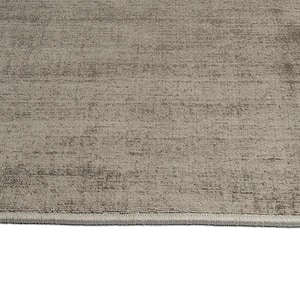 Shiny Earthtone 4 ft. x 6 ft. Solid Color Area Rug