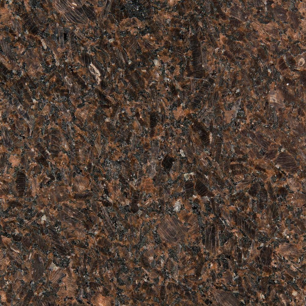 STONEMARK 3 in. x 3 in. Granite Countertop Sample in Imperial Coffee DT