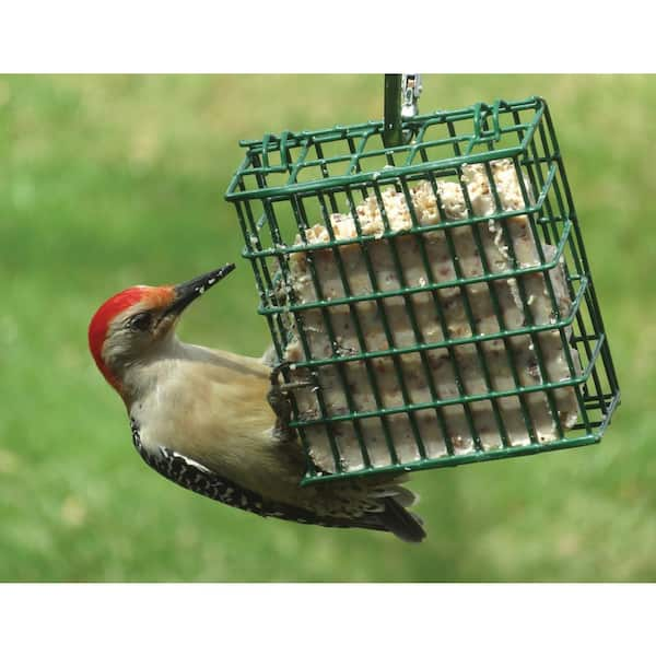 home depot suet