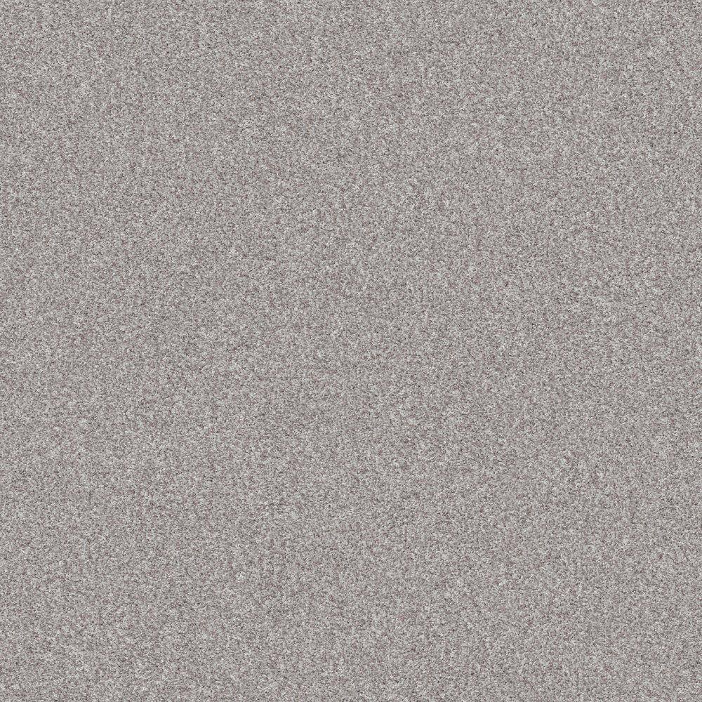 8 in. x 8 in. Texture Carpet Sample - Cherry on Top I - Color Whitecap price history on PriceWatchPro