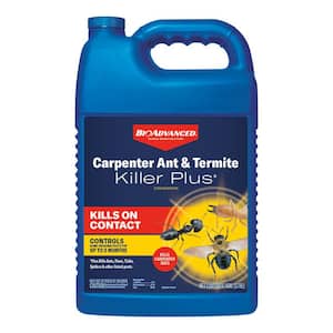 BIOADVANCED 1 Gal. Ready-to-Use Carpenter Ant and Termite Insect