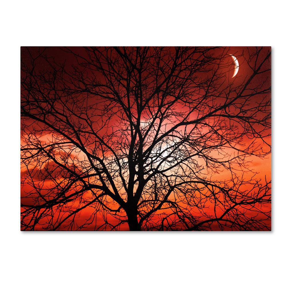 Big Bad Moon Landscape Framed Canvas Art, 22 x 32 Inch