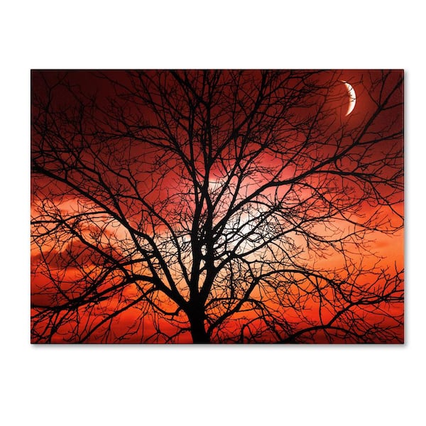 Trademark Fine Art 22 in. x 32 in. "Big Bad Moon" by Philippe Sainte-Laudy Printed Canvas Wall Art