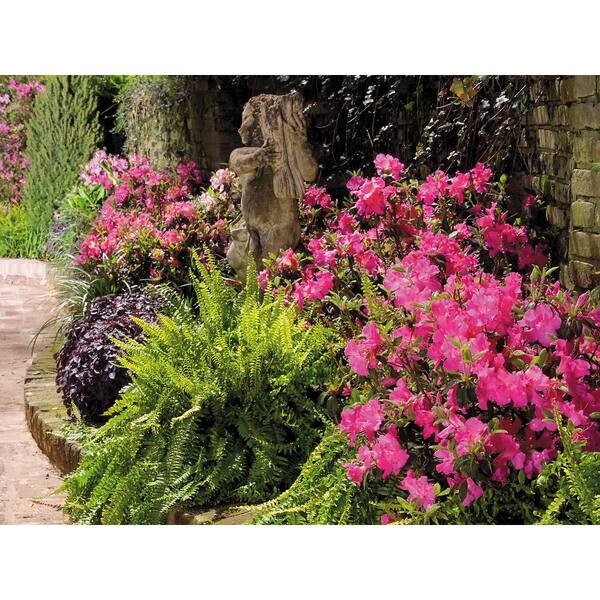 Flower s_wp_64483b82dbb0e722cc97bfca.webp