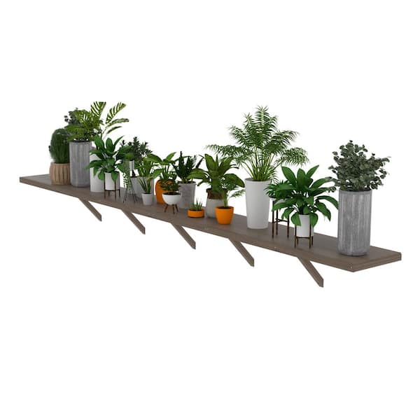 137.4 in x 15.55 in x 0.79 in Brown Fir Wood Raised Beds Greenhouse Shelf for Plants Fit All 12 ft. Deep Greenhouse
