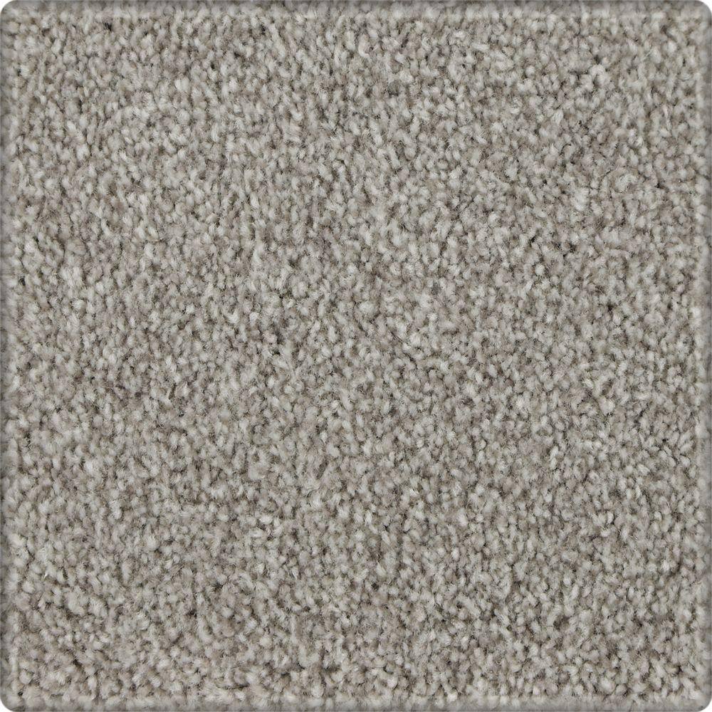 8 in. x 8 in. Texture Carpet Sample - Denfort - Color Highgate price history on PriceWatchPro