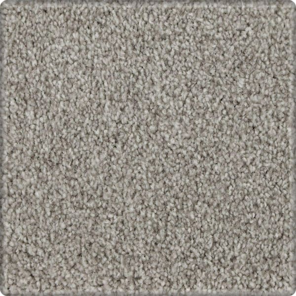 Lifeproof 8 in. x 8 in. Texture Carpet Sample - Denfort - Color Highgate