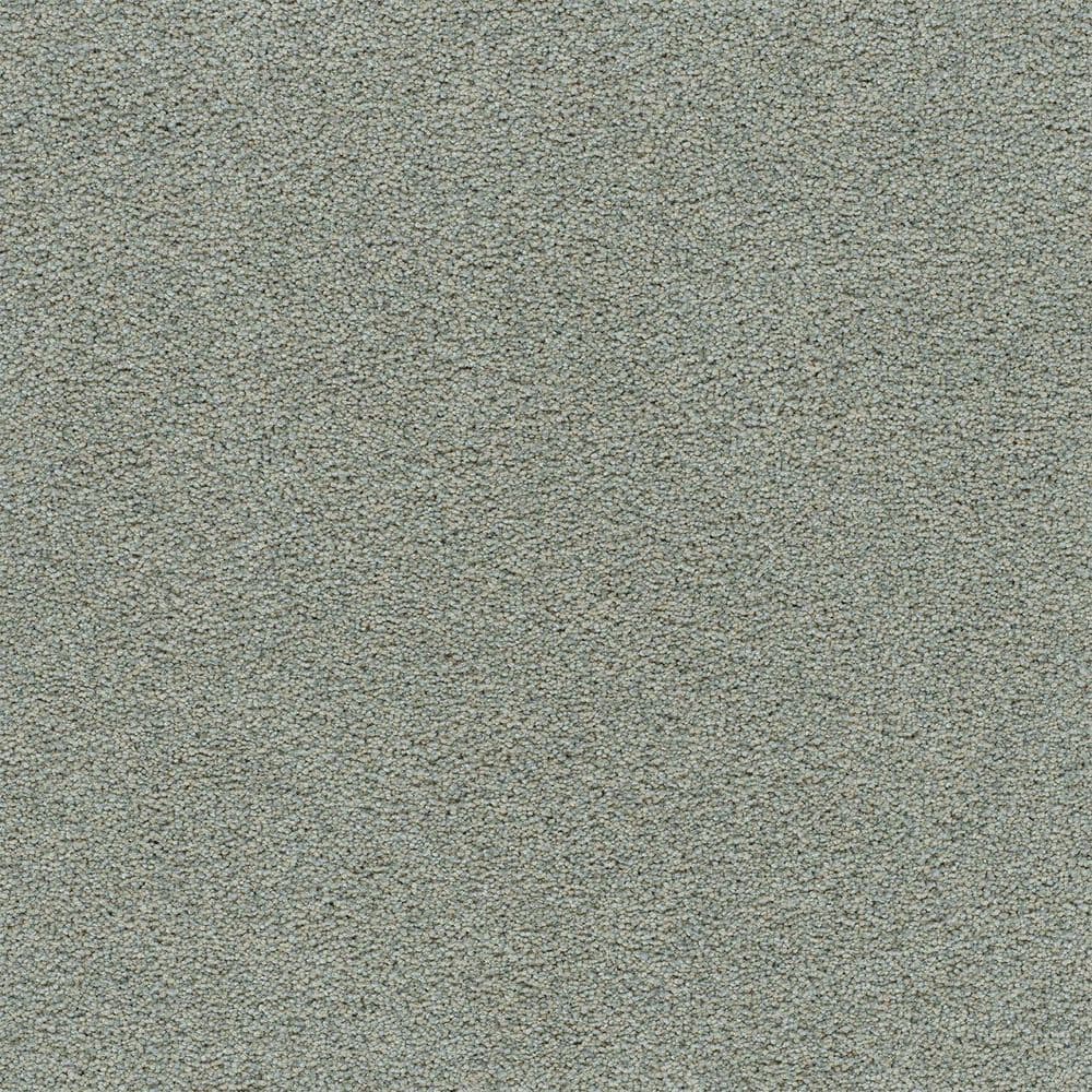 8 in. x 8 in. Texture Carpet Sample-Cinderella Soft III-Color Airy price history on PriceWatchPro