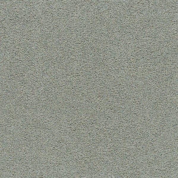 8 in. x 8 in. Texture Carpet Sample-Cinderella Soft III-Color Airy