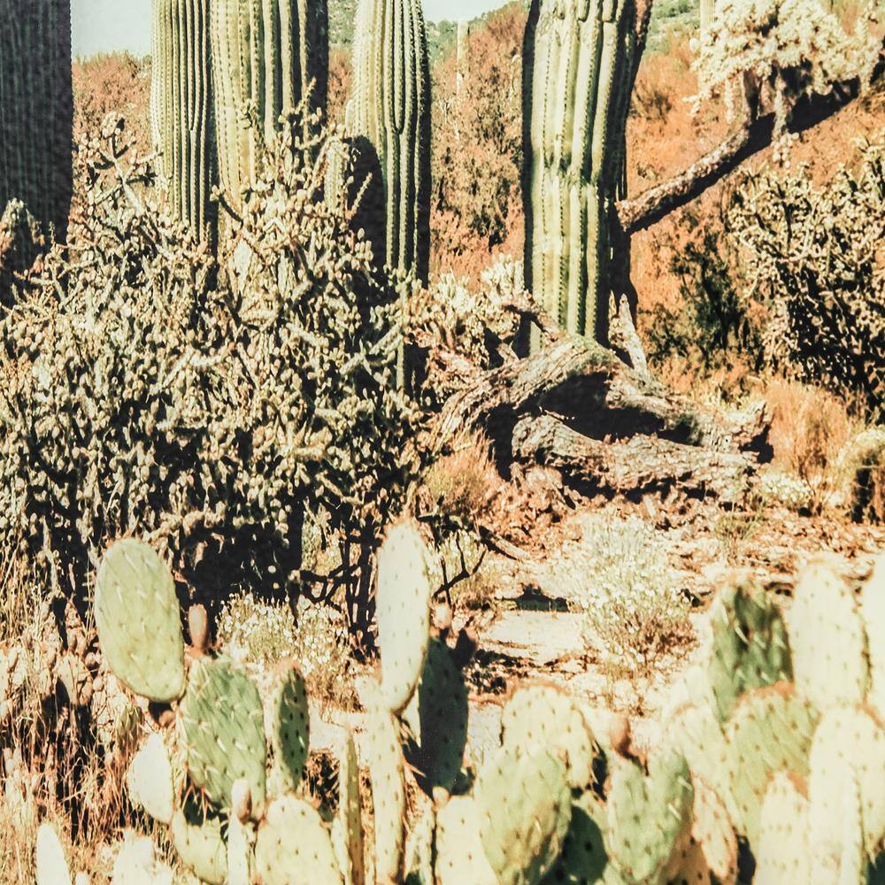 Saguaro Cacti Landscape Framed Glass Wall Art