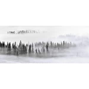 Falkirk Airdrie Abstract Foggy Forest Contemporary Wall Mural