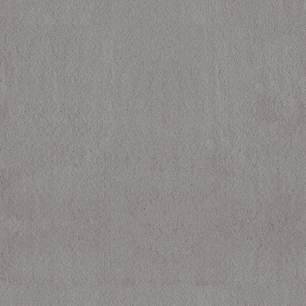 8 in. x 8 in. Texture Carpet Sample - Dreamy Daze I -Color Vega price history on PriceWatchPro