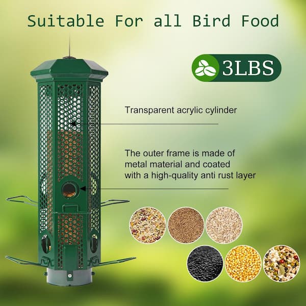 What is Optimal Perch Size for Bird Feeders: Ultimate Guide