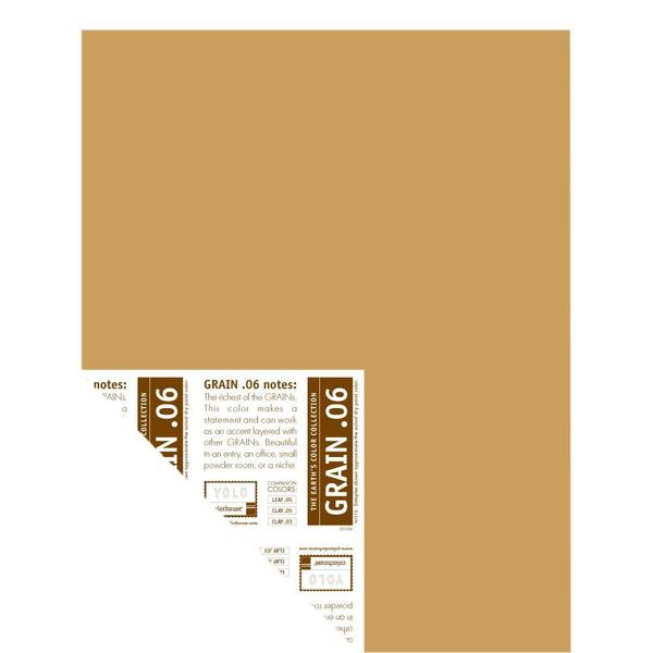 YOLO Colorhouse 12 in. x 16 in. Grain .06 Pre-Painted Big Chip Sample