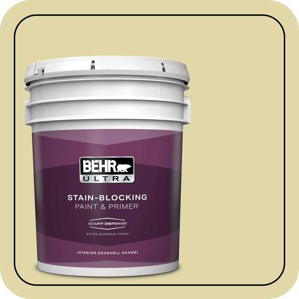 5 gal. Home Decorators Collection #HDC-CT-27A Fresh Willow Eggshell Interior Enamel Paint & Primer price history on PriceWatchPro