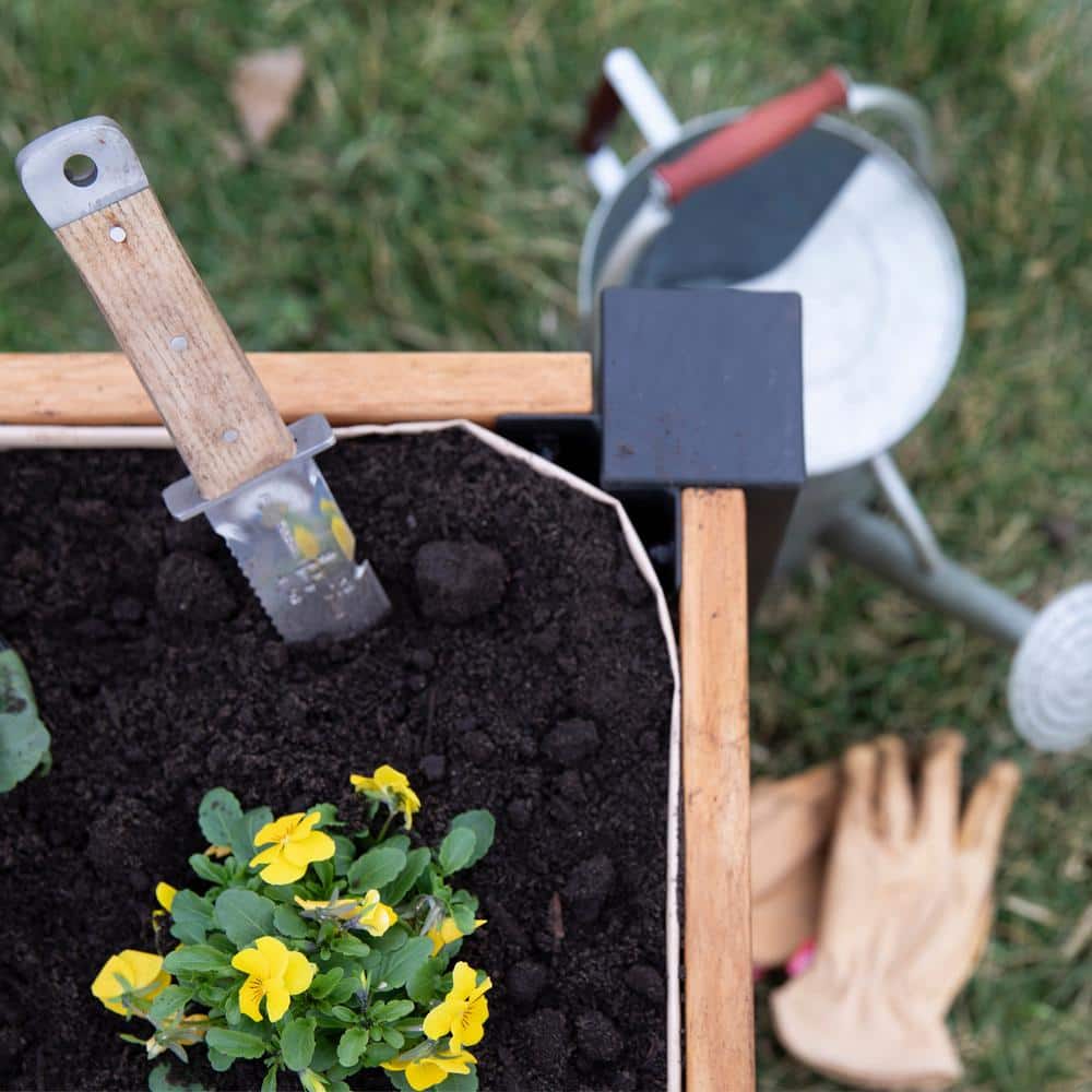 Backyard Raised Teak Planter with Black Steel Legs