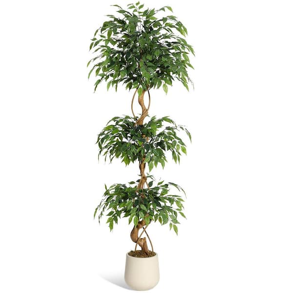 Unbranded 6 ft. Ficus Faux Tree with Curved Trunk, Artificial Ficus Tree with White Pot, Artificial Plants Indoor for Living Room