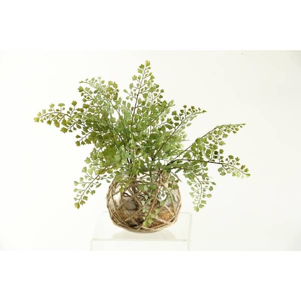 D&W Silks Artificial Indoor Flat Iron Fern in Glass Bowl with Seagrass Netting