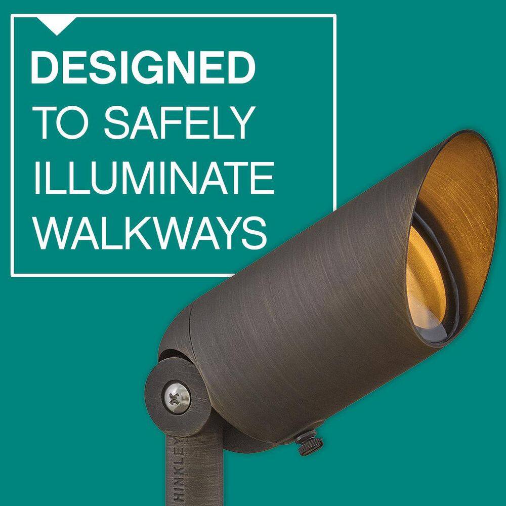 Matte Bronze LED Outdoor Spotlight with Clear Lens