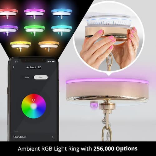 5 in. Modern Gold Smart Plug and Play Lighting Base - Carina Lighting