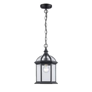 Wentworth 1-Light Black Hanging Outdoor Pendant Light Fixture with Clear Glass