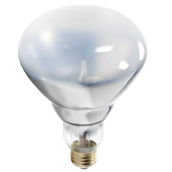 Philips 70-Watt Halogen BR40 Flood Light Bulb