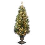 5 ft. Wispy Willow Grande Entrance Artificial Christmas Tree with Clear Lights