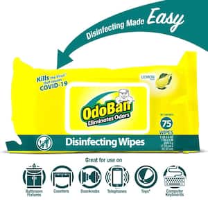 75-Count Free & Clear Compostable All-Purpose Cleaning Wipes