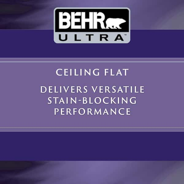 BEHR PREMIUM PLUS 1 gal. #PPU18-09 Burnished Clay Ceiling Flat Interior  Paint 55801 - The Home Depot