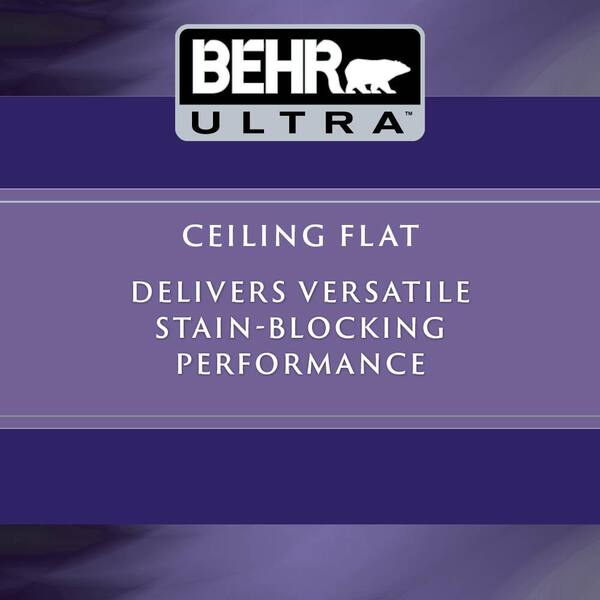 1 gal. #770E-1 Quietude Ceiling Flat Interior Paint and Primer