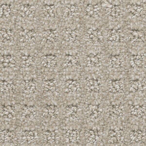 TrafficMaster 8 in. x 8 in. Pattern Carpet Sample - Piroette -Color Canel