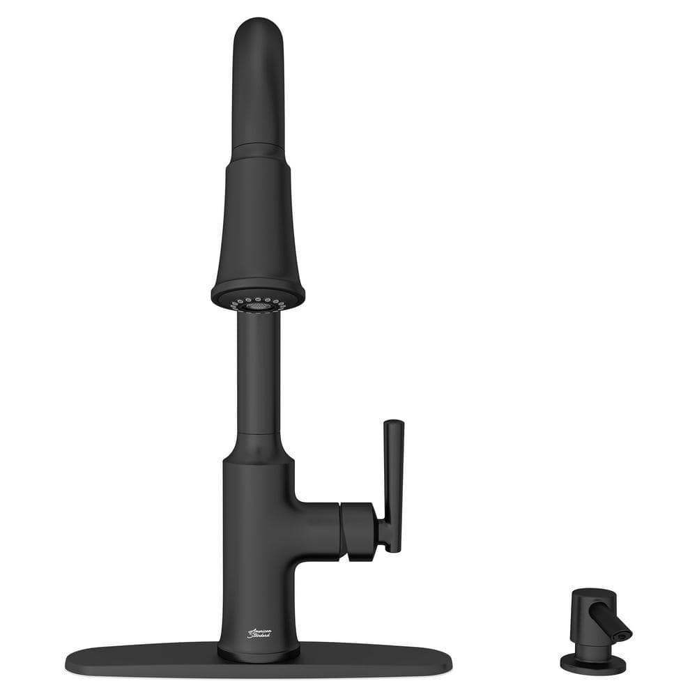 Matte Black Pull-Down Kitchen Faucet with Soap Dispenser