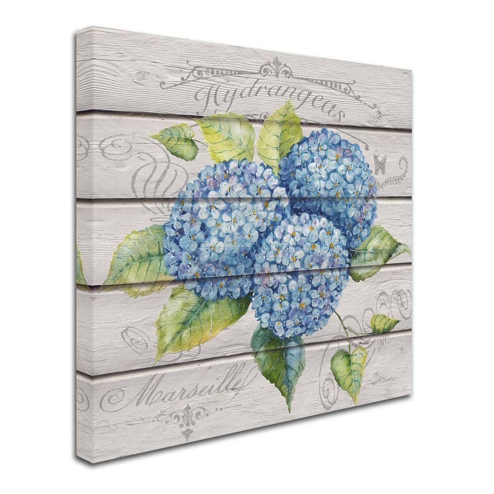 Jean Plout Blue Hydrangeas Canvas Art with Floater Frame