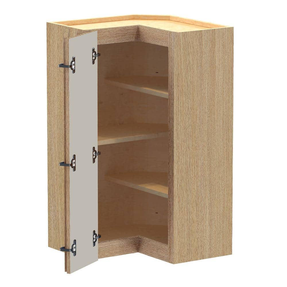 Washington 21 in. W x 21 in. D x 36 in. H Assembled Plywood Wall Kitchen Corner Cabinet in Vanguard Oak with Shelves price history on PriceWatchPro