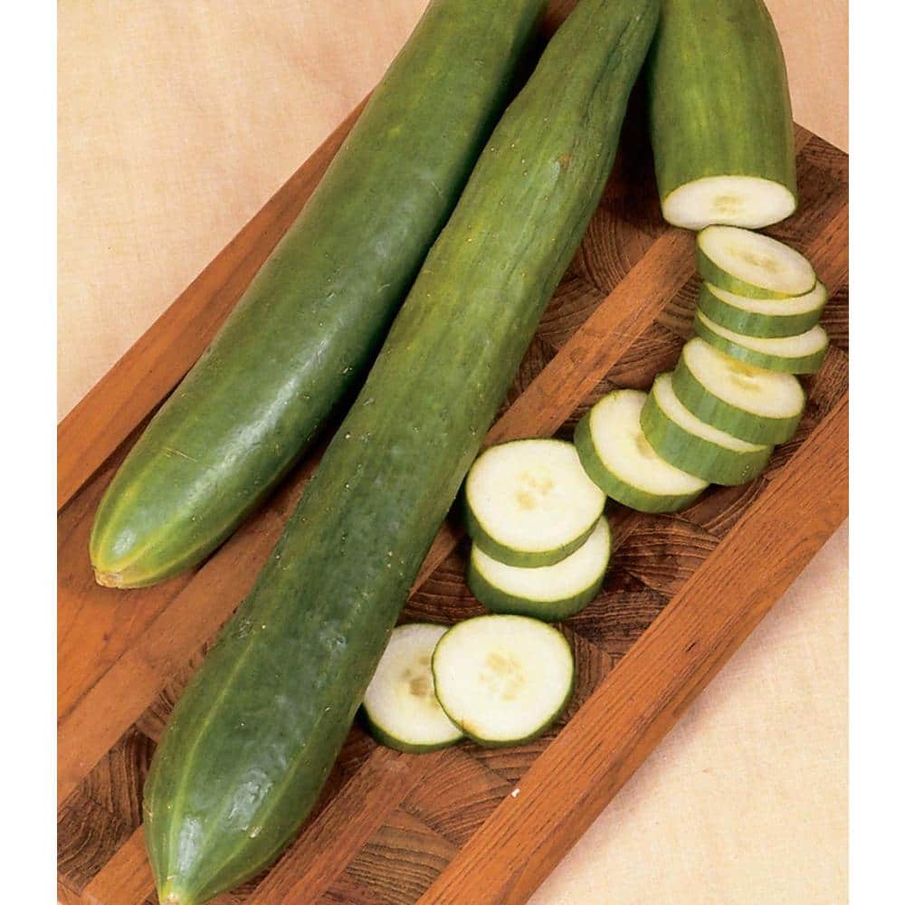 Bonnie Plants 19 oz. Organic Japanese Cucumber Plant 120460 - The Home Depot