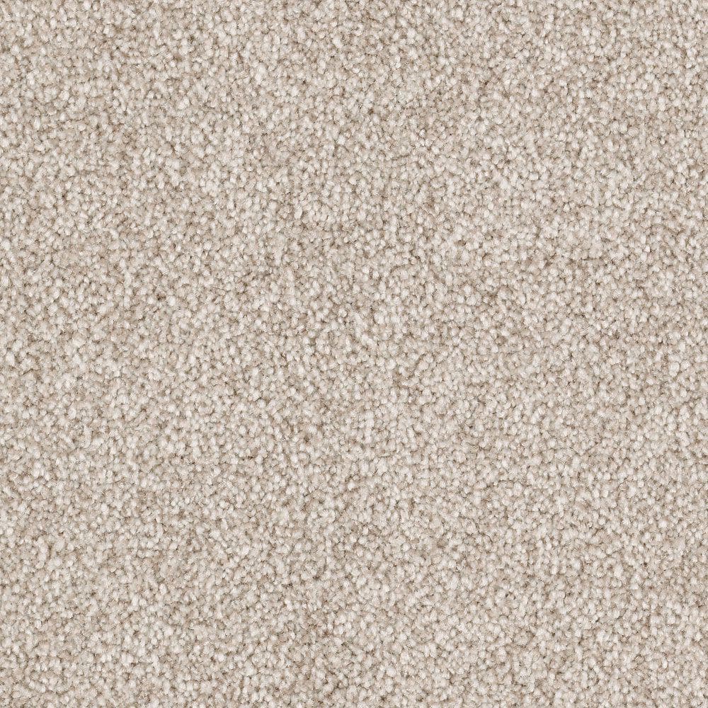8 in. x 8 in. Texture Carpet Sample - Silver Mane II -Color Rustic price history on PriceWatchPro