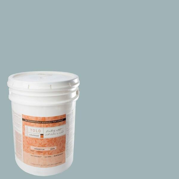 YOLO Colorhouse 5-gal. Water .04 Flat Interior Paint-DISCONTINUED