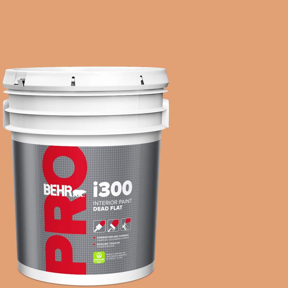 5 gal. #M220-5 Roasted Seeds Dead Flat Interior Paint price history on PriceWatchPro