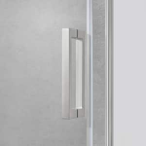 Delaney 46 1/4 in. - 48 in. W x 74 in. H Pivot Frameless Shower Door in Brushed Nickel Finish with Clear Glass