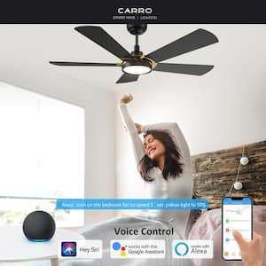 Wilkes 52 in. Dimmable LED Indoor/Outdoor Black Smart Ceiling Fan with Light and Remote, Works with Alexa/Google Home