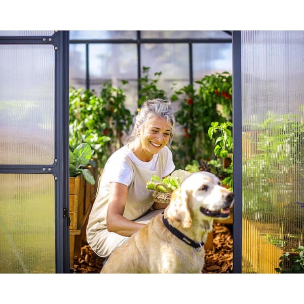 CANOPIA by PALRAM Glory 8 ft. x 20 ft. Gray/Diffused Polycarbonate