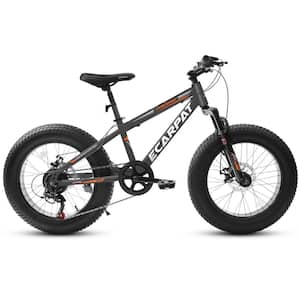 20 Inch Fat Tire Full 7 Speed Mountain Bike with Dual DiscBrake, High-Carbon Steel Frame, Front Suspension
