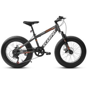 20 Inch Fat Tire Full 7 Speed Mountain Bike with Dual DiscBrake 