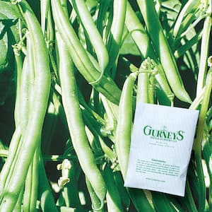 0.5 lb. Pole Bean Kentucky Blue (Seed Packet)