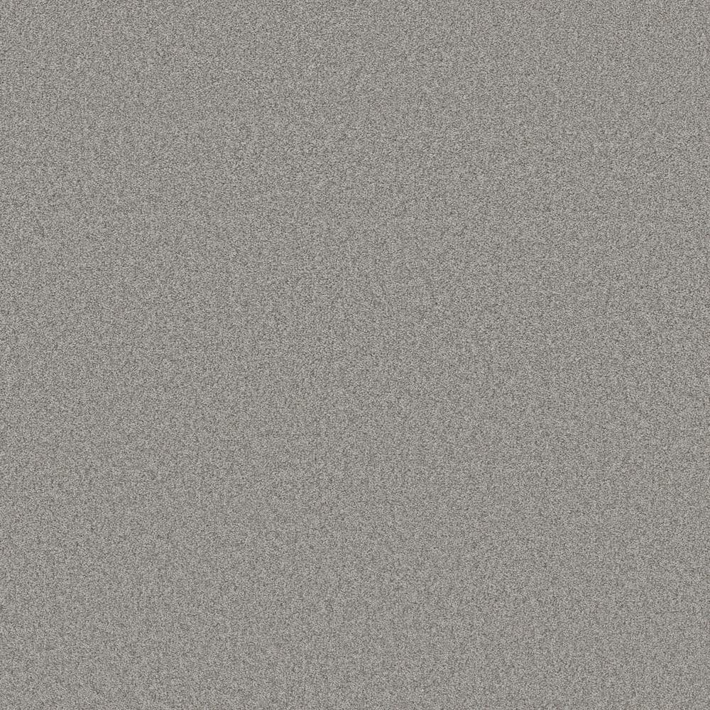 8 in. x 8 in. Texture Carpet Sample - Coastal Charm I -Color Shipwreck price history on PriceWatchPro