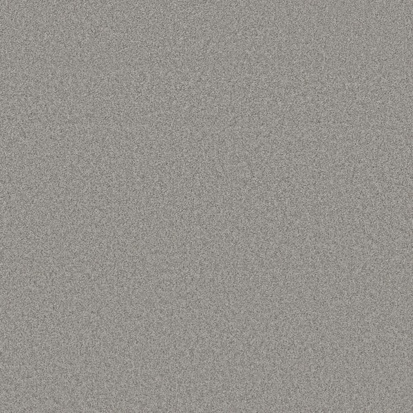 Lifeproof 8 in. x 8 in. Texture Carpet Sample - Coastal Charm II -Color Shipwreck