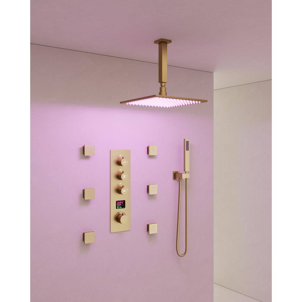 CRANACH 7Spray Patterns 12 in. Dual Shower Head Ceiling Mount and