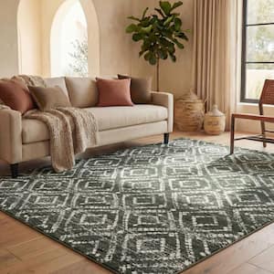 SAFAVIEH Adirondack 5 ft. x 8 ft. Black/Ivory Geometric Area Rug