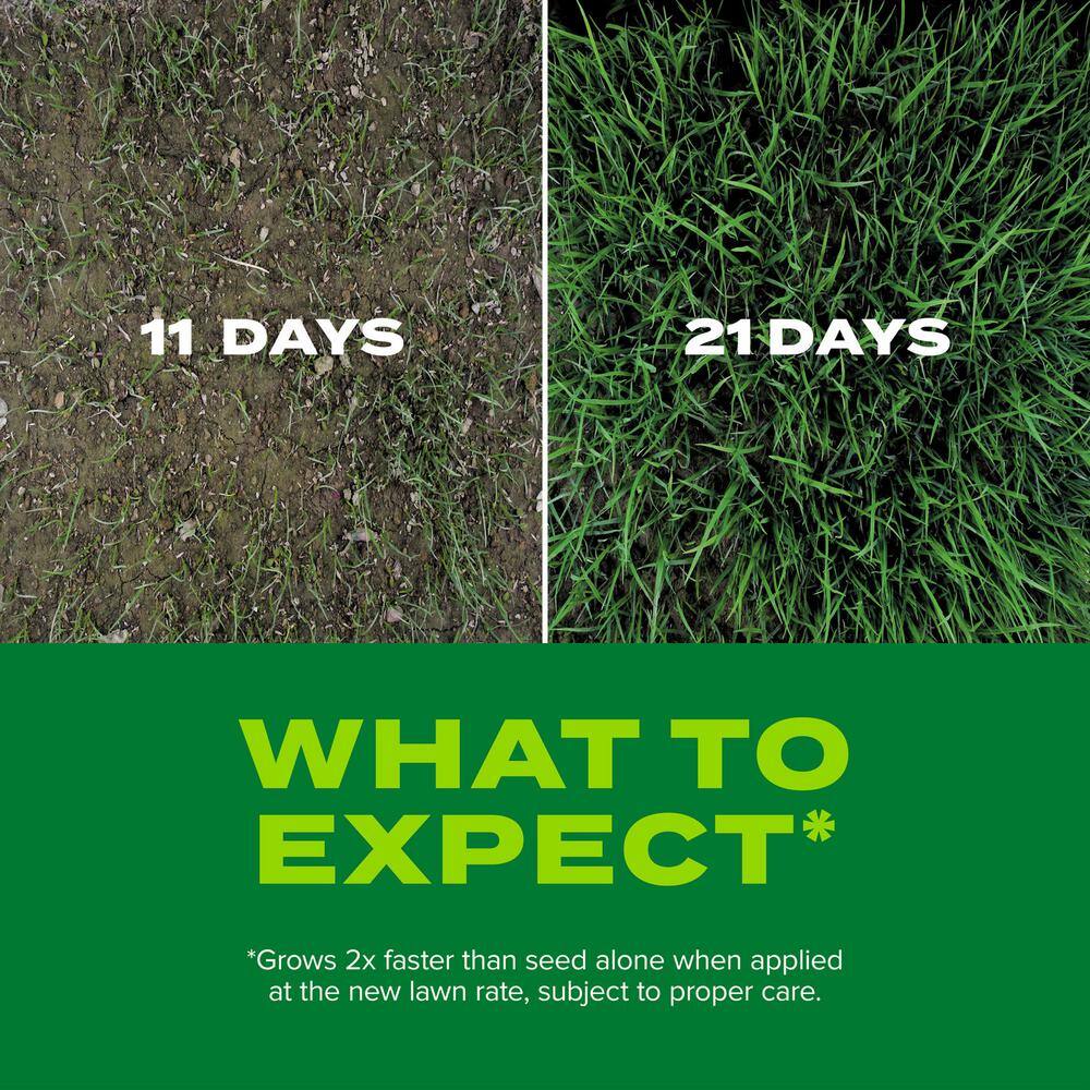 Buy Turf Builder Rapid Grass 16 lb. Tall Fescue Grass Seed Online at Lowest Price in India