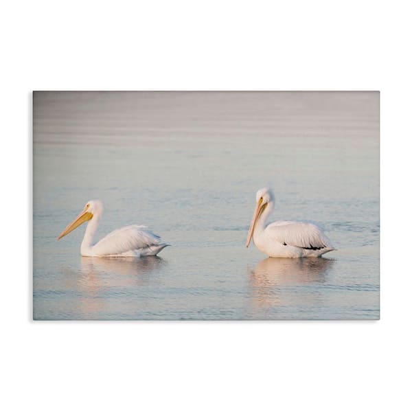 Stupell Industries Pelicans on Calm Waters by Danita Delimont Unframed Animal Graphic Art Print 30 in. x 45 in.
